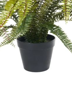 Kunstig plante FERN LEAF PLANT 105 cm Grøn