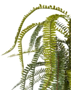 Kunstig plante FERN LEAF PLANT 105 cm Grøn