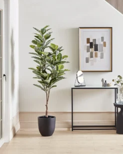 Kunstig plante FICUS ELASTICA 160 cm Grøn