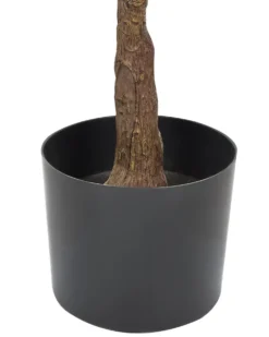 Kunstig plante FICUS ELASTICA 160 cm Grøn