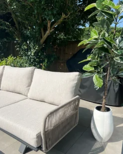 Kunstig plante FICUS ELASTICA 160 cm Grøn