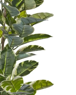 Kunstig plante FICUS ELASTICA 160 cm Grøn