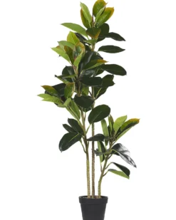 Kunstig plante FICUS ELASTICA 134 cm Grøn
