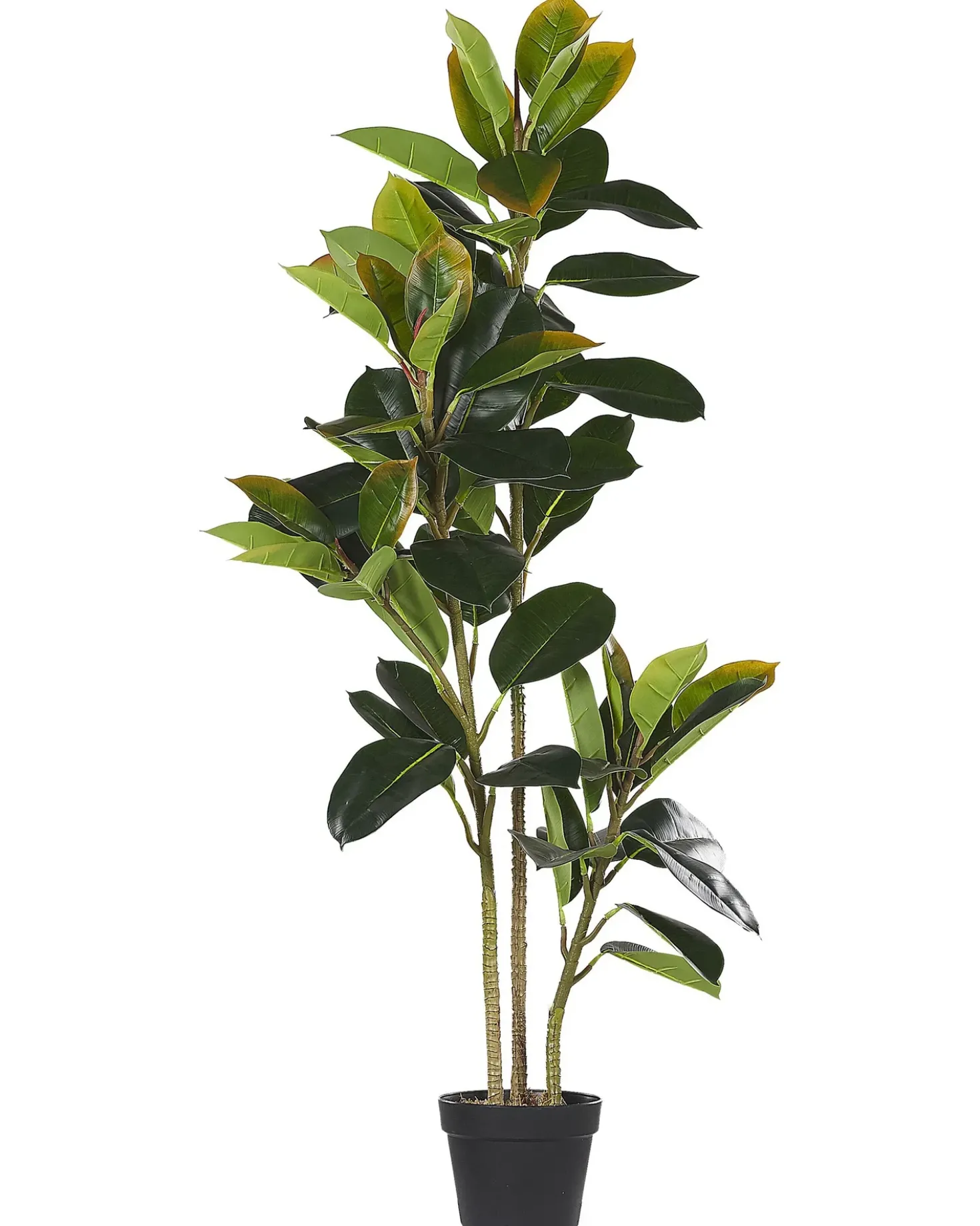Kunstig plante FICUS ELASTICA 134 cm Grøn