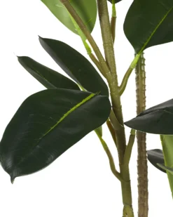Kunstig plante FICUS ELASTICA 134 cm Grøn