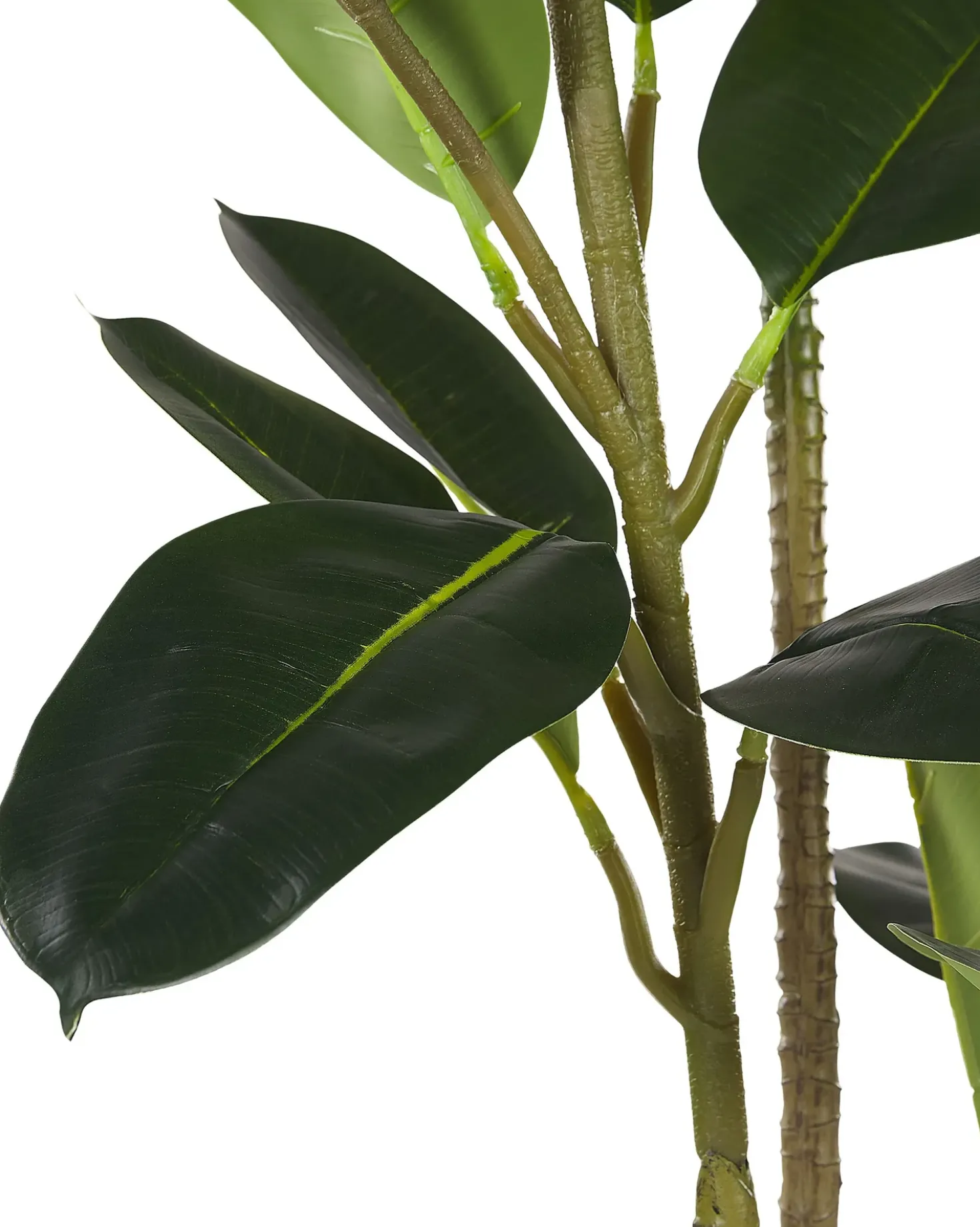 Kunstig plante FICUS ELASTICA 134 cm Grøn