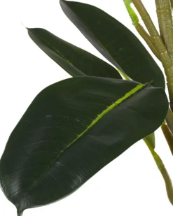 Kunstig plante FICUS ELASTICA 134 cm Grøn