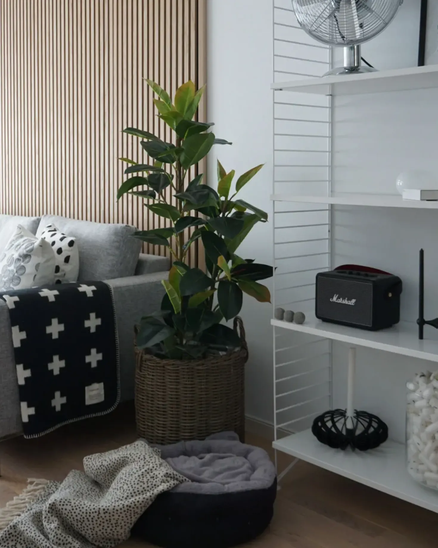 Kunstig plante FICUS ELASTICA 134 cm Grøn