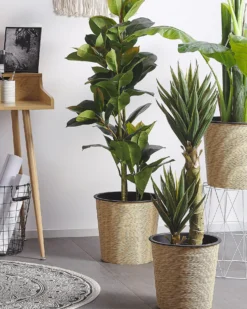 Kunstig plante FICUS ELASTICA 134 cm Grøn