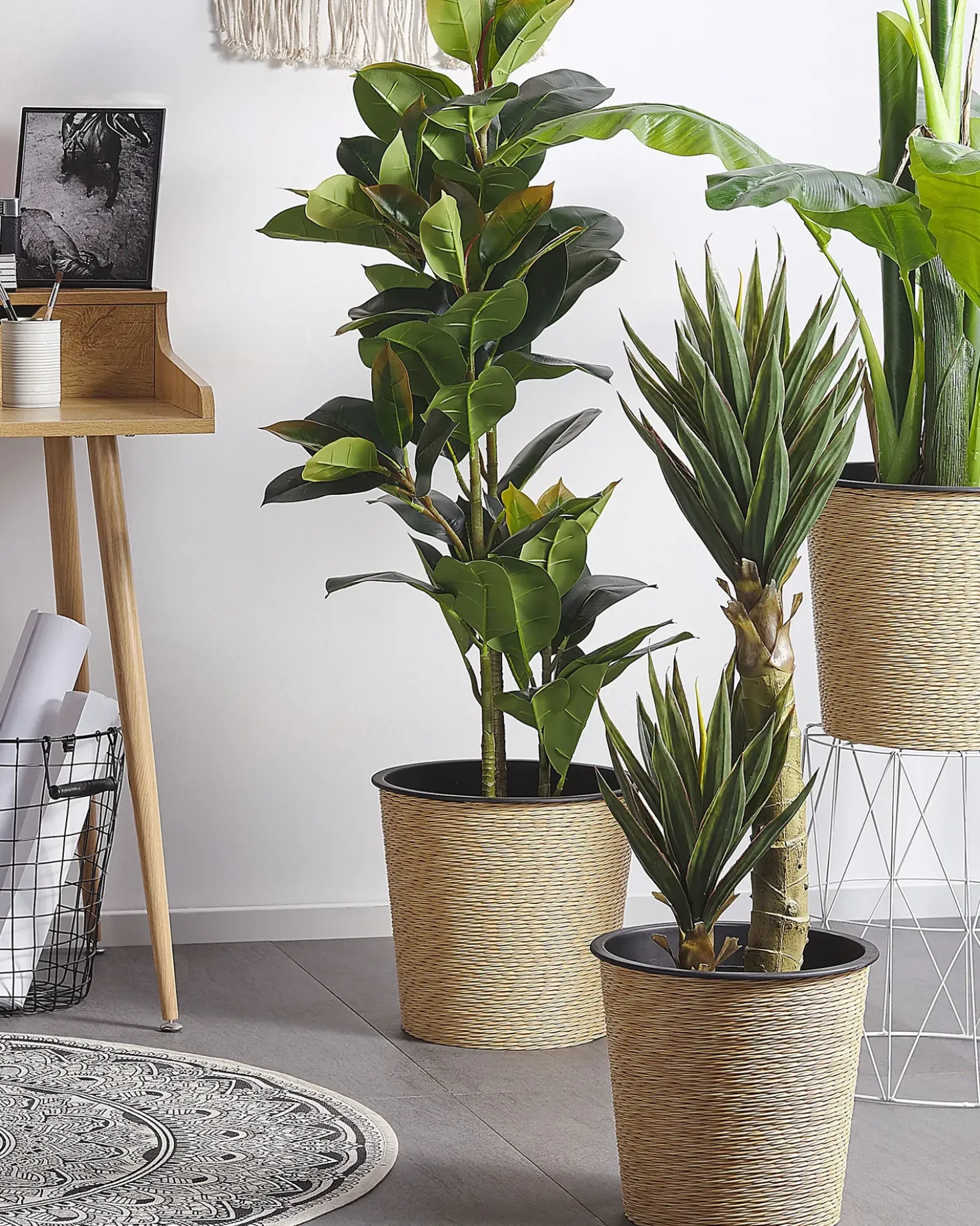 Kunstig plante FICUS ELASTICA 134 cm Grøn