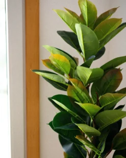 Kunstig plante FICUS ELASTICA 134 cm Grøn