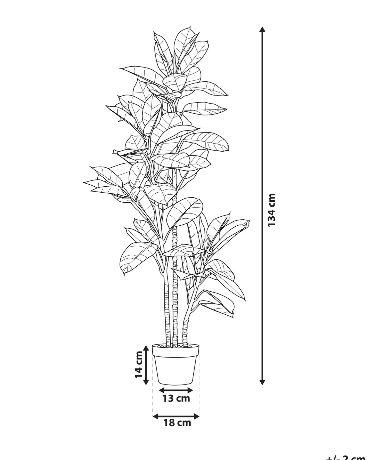 Kunstig plante FICUS ELASTICA 134 cm Grøn