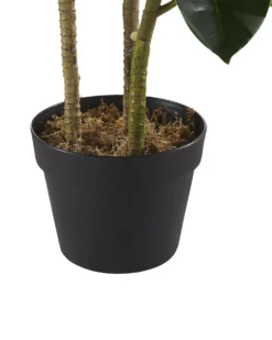 Kunstig plante FICUS ELASTICA 134 cm Grøn