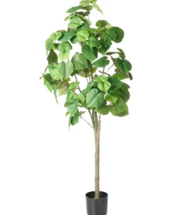 Kunstig plante FICUS TREE 160 cm Grøn
