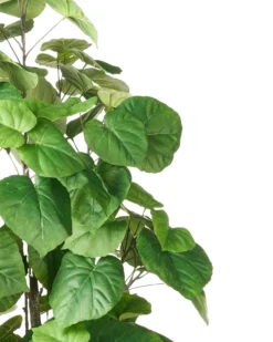 Kunstig plante FICUS TREE 160 cm Grøn