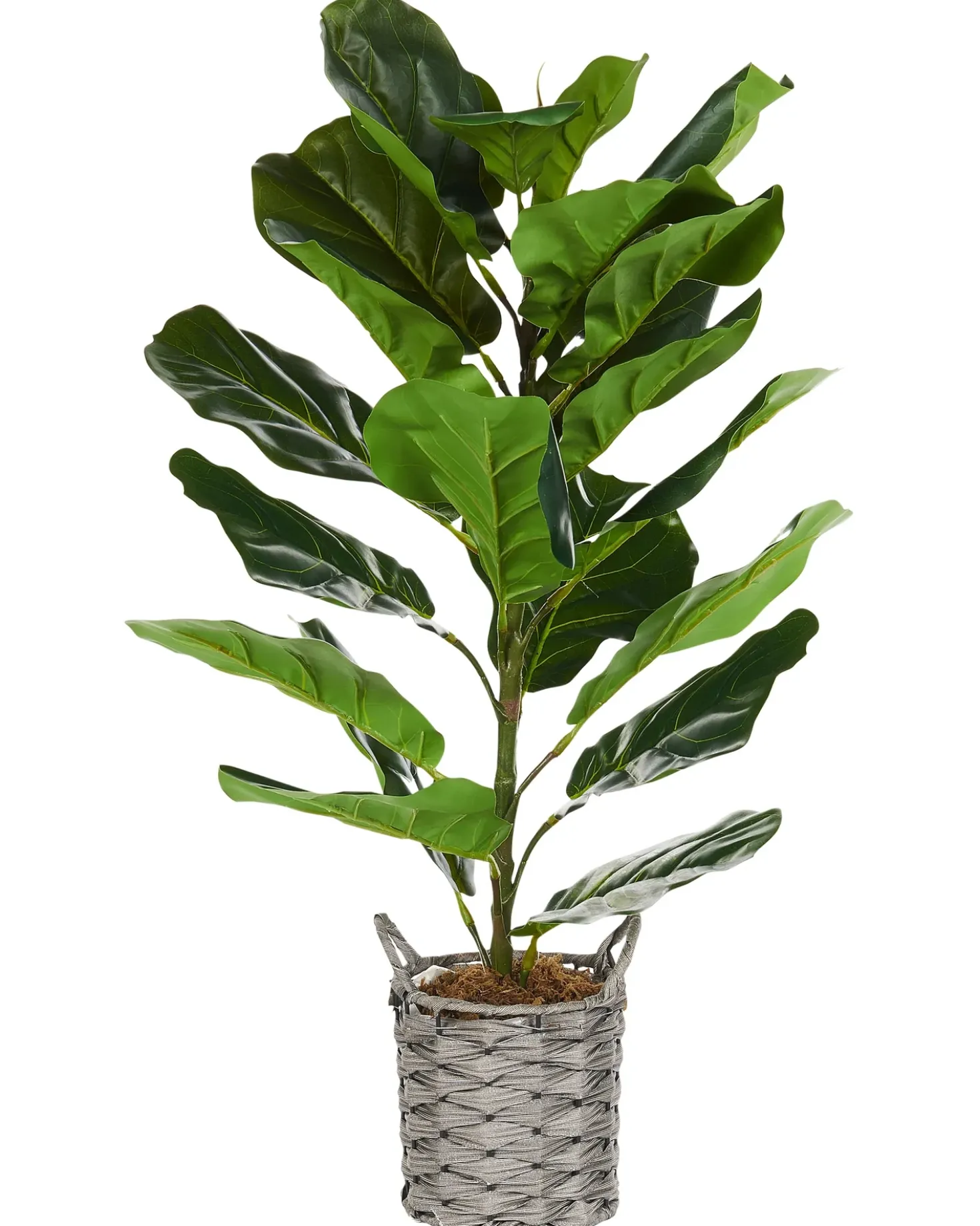 Kunstig plante FIDDLE LEAF TREE 72 cm Grøn