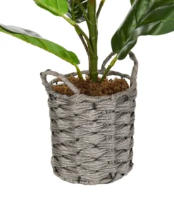 Kunstig plante FIDDLE LEAF TREE 72 cm Grøn