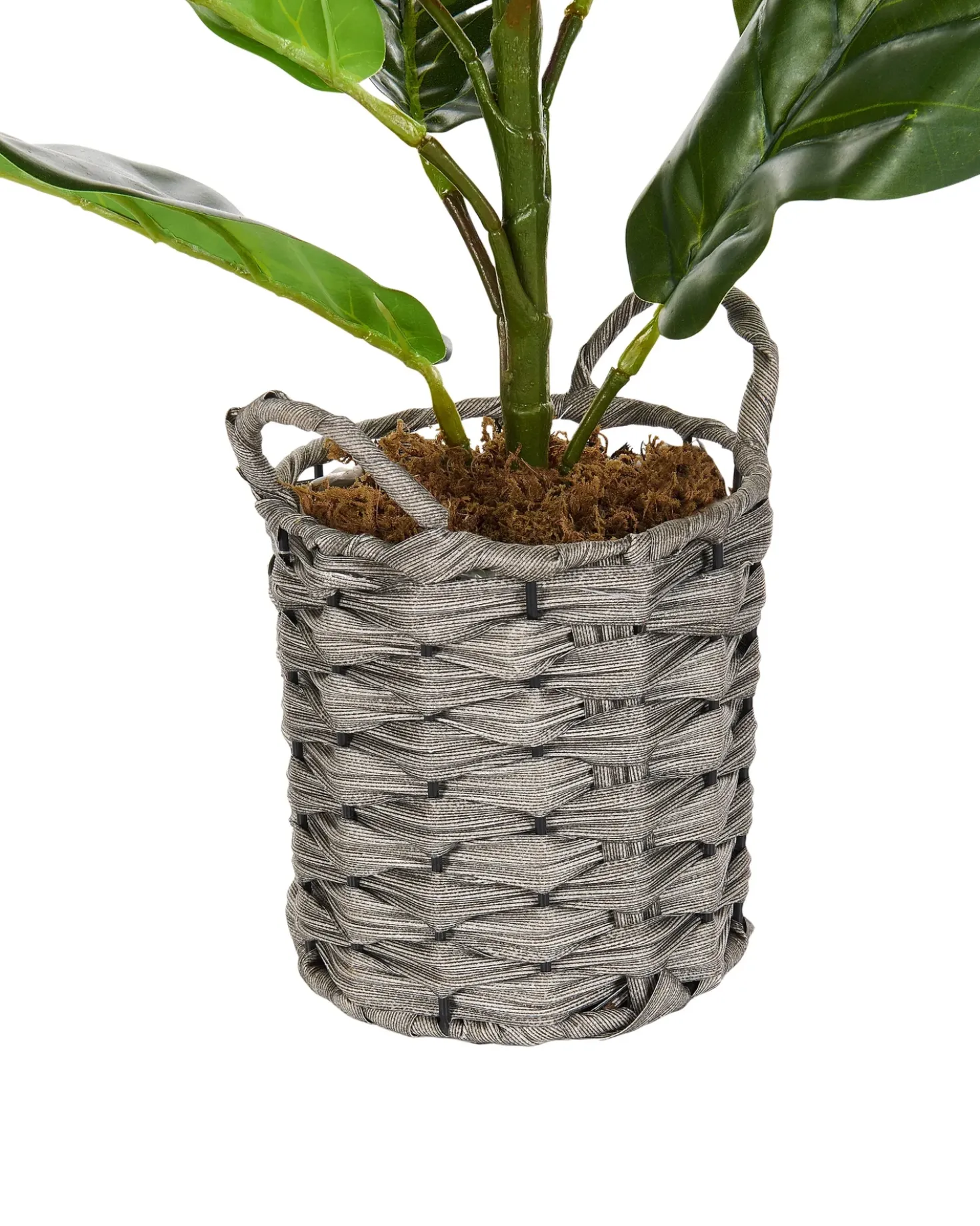 Kunstig plante FIDDLE LEAF TREE 72 cm Grøn