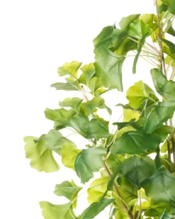Kunstig plante GINKGO TREE 150 cm Grøn