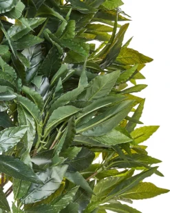 Kunstig plante LAURELE 160 cm Grøn