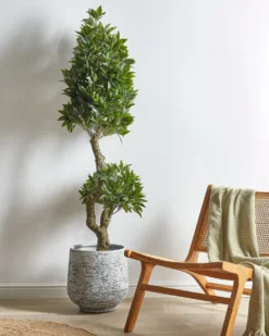 Kunstig plante LAURELE 160 cm Grøn