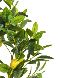 Kunstig plante LEMON TREE 105 cm Grøn