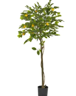 Kunstig plante LEMON TREE 156 cm Grøn
