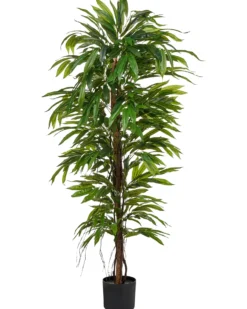 Kunstig plante LONGIFOLIA 155 cm Grøn