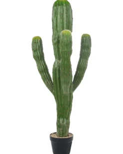 Kunstig plante MAROCCO CEREUS 115 cm Grøn