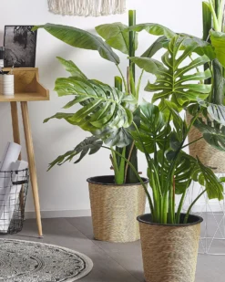 Kunstig plante MONSTERA PLANT 113 cm Grøn