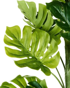 Kunstig plante MONSTERA PLANT 221 cm Grøn