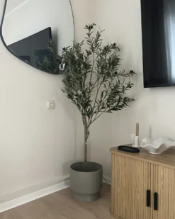 Kunstig plante OLIVE TREE 153 cm Grøn
