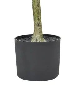 Kunstig plante OLIVE TREE 153 cm Grøn