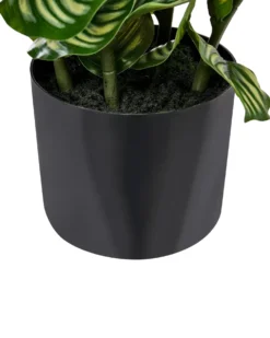 Kunstig plante ORBIFOLIA 50 cm Grøn