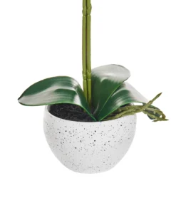 Kunstig plante ORCHID 42 cm Hvid