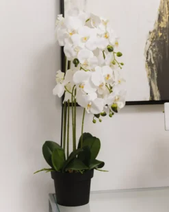 Kunstig plante ORCHID 65 cm Hvid