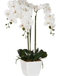 Kunstig plante ORCHID 59 cm Hvid