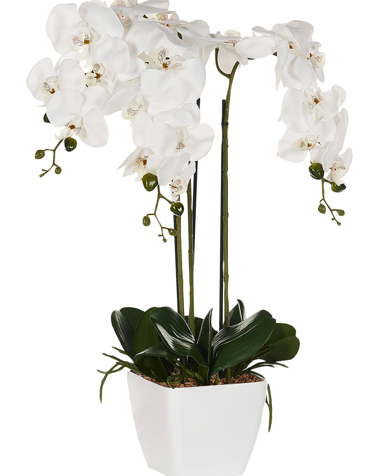 Kunstig plante ORCHID 59 cm Hvid