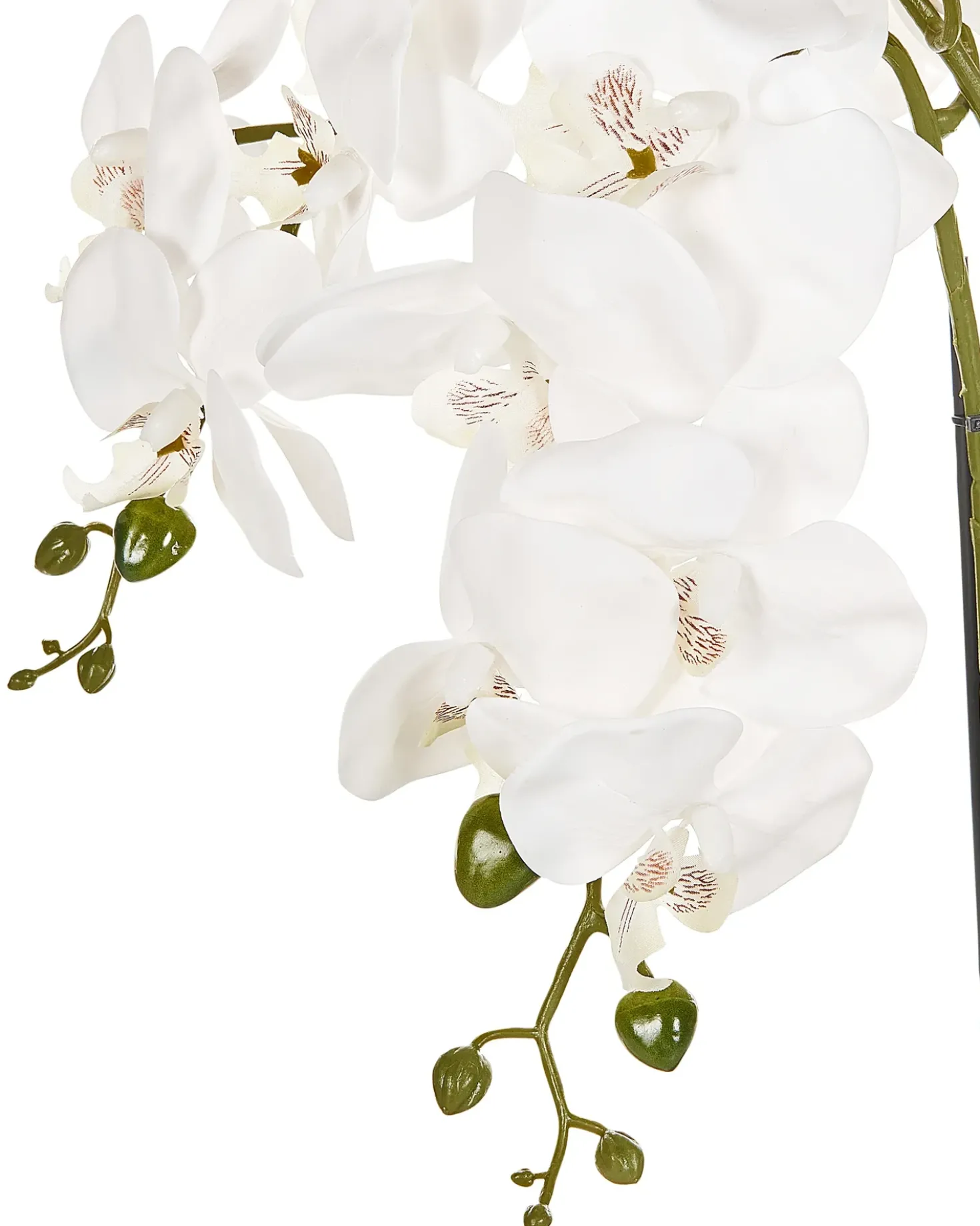 Kunstig plante ORCHID 59 cm Hvid