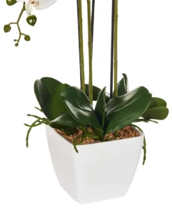 Kunstig plante ORCHID 59 cm Hvid