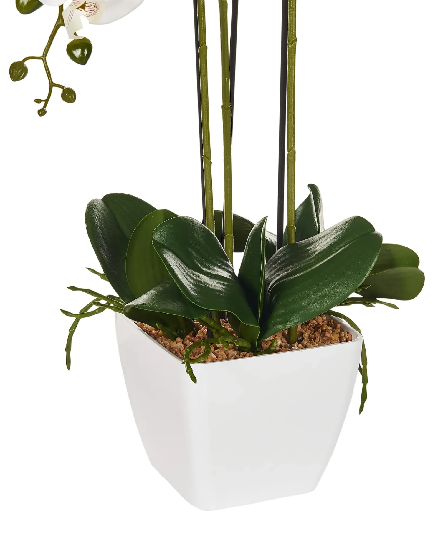 Kunstig plante ORCHID 59 cm Hvid