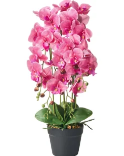Kunstig plante ORCHID 65 cm Lyserød
