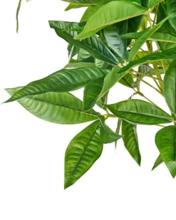 Kunstig plante PACHIRA TREE 120 cm Grøn
