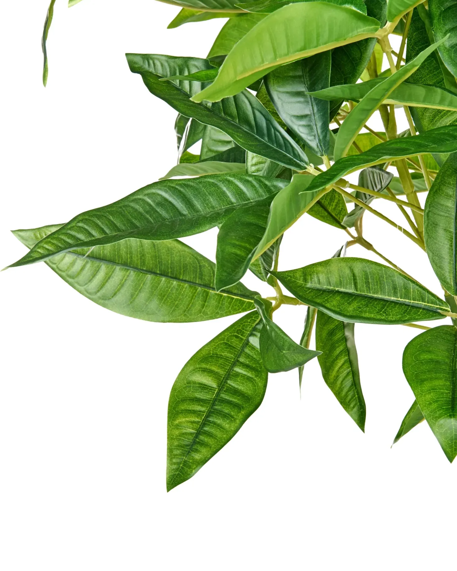 Kunstig plante PACHIRA TREE 120 cm Grøn