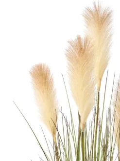 Kunstig plante PAMPAS GRASS 120 cm Grøn