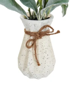 Kunstig plante PEPEROMIA ARGYREIA 30 cm Grøn