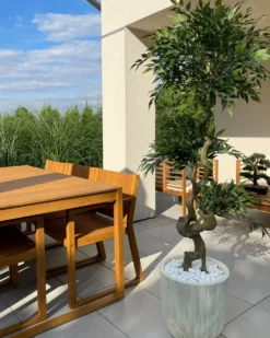 Kunstig plante RUSCUS TREE 166 cm Grøn