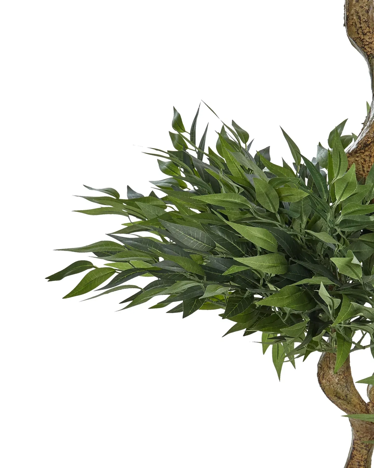 Kunstig plante RUSCUS TREE 166 cm Grøn