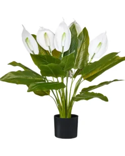 Kunstig plante SPATHPHYLLUM 70 cm Grøn
