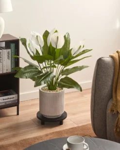 Kunstig plante SPATHPHYLLUM 70 cm Grøn